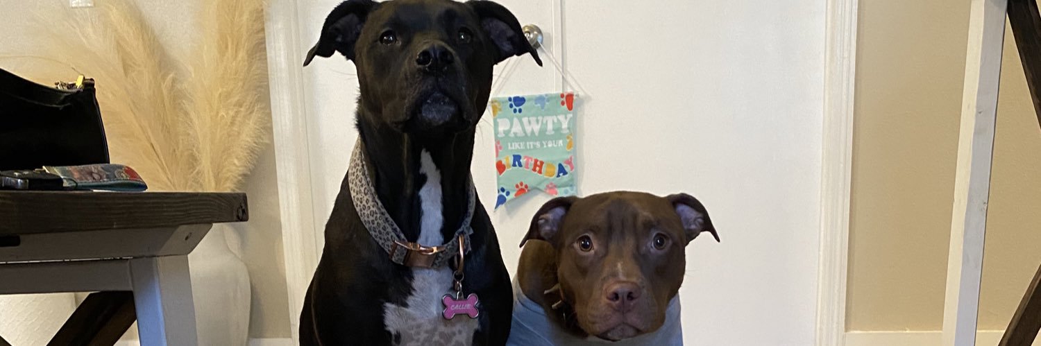 Tori🌻❤️‍🔥 banner