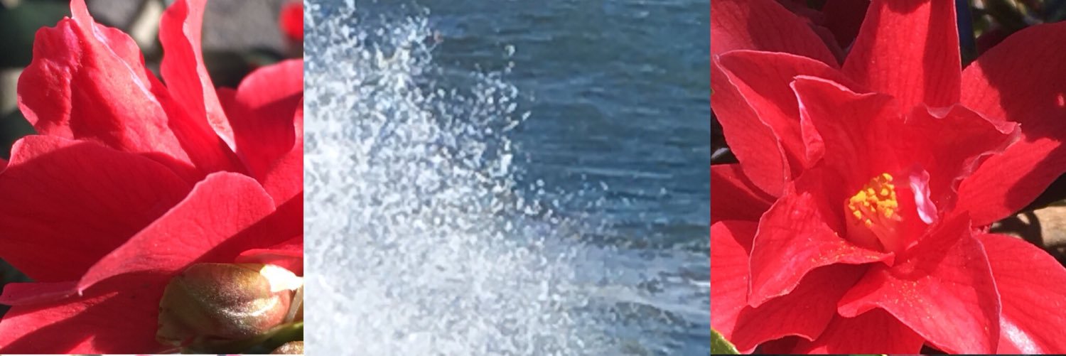 StewartMandi's profile banner image