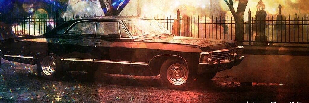 Magalicious8207's profile banner image