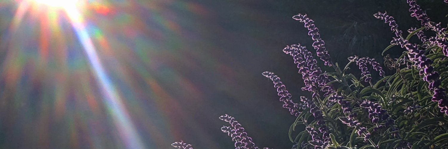 _joules_'s profile banner image