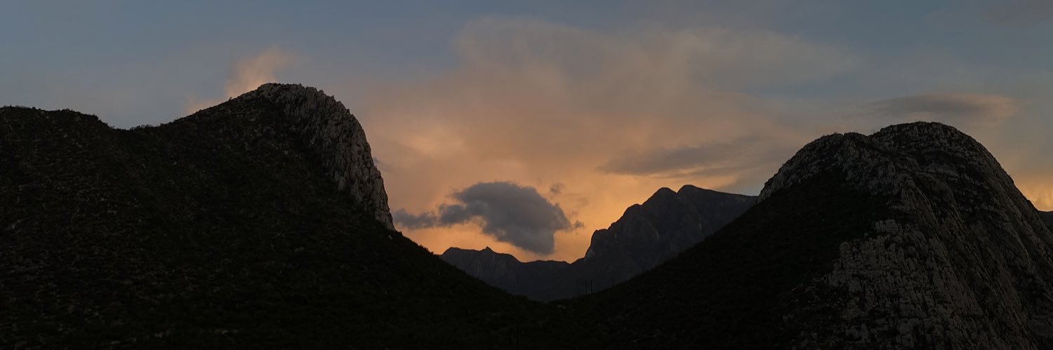 daniapachuca's profile banner image