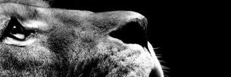 CorJones11's profile banner image