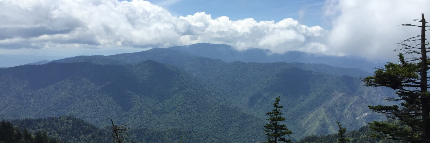 Miss Anderson banner