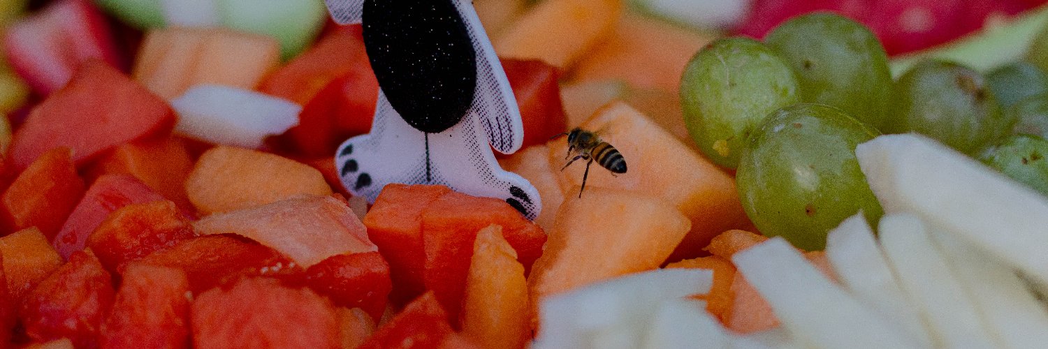 j0seromo's profile banner image