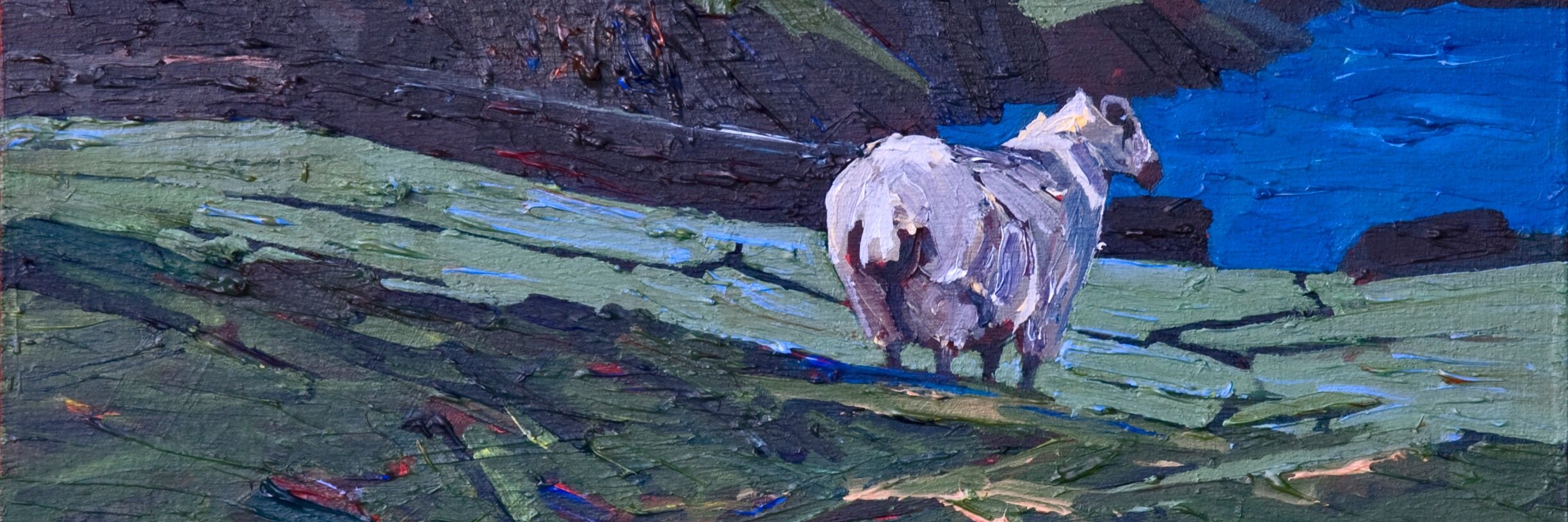 sookrah's profile banner image