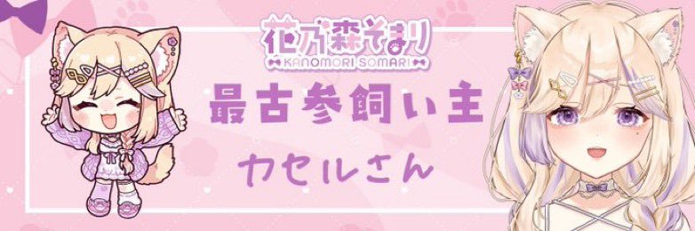カセル banner