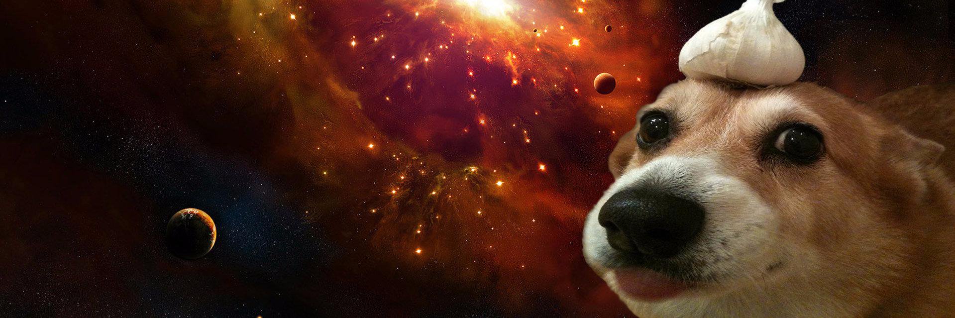 KalvinOfTheSwag's profile banner image