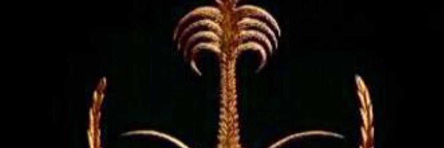 abulrahman007's profile banner image