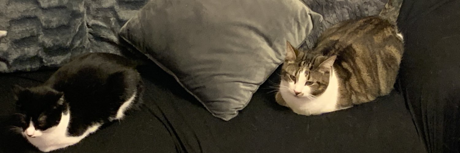 🏃‍♂️Rob O’Hara 🏃 banner