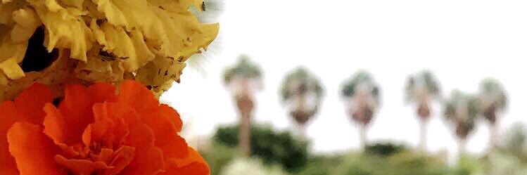 otibi012's profile banner image