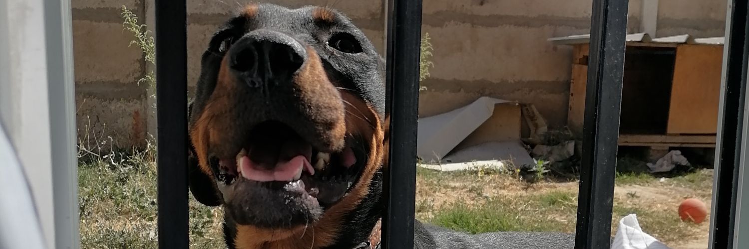 EsteliaMarcela's profile banner image