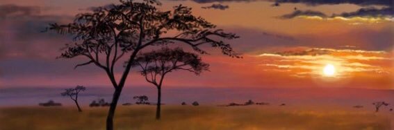 firumaaa's profile banner image