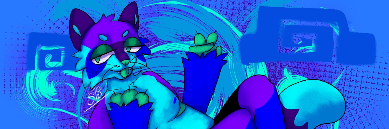 SkySnore's profile banner image