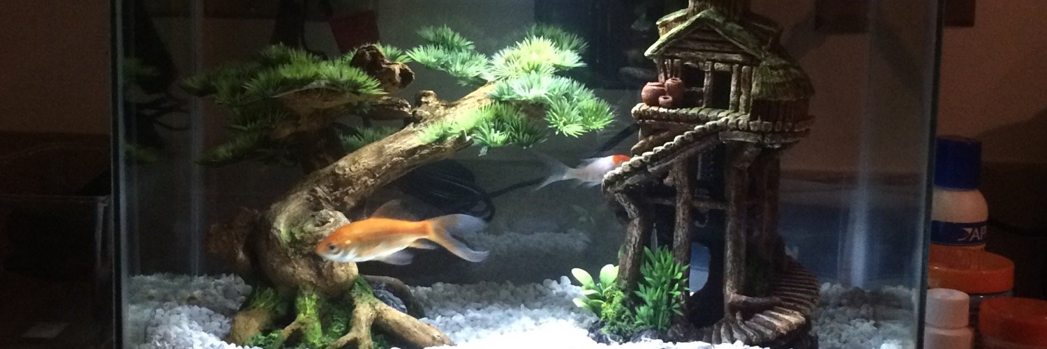 russellthefish's profile banner image