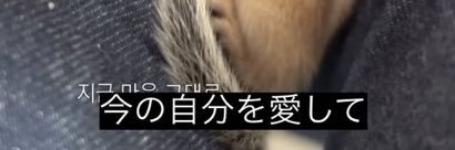 aidaizu's profile banner image