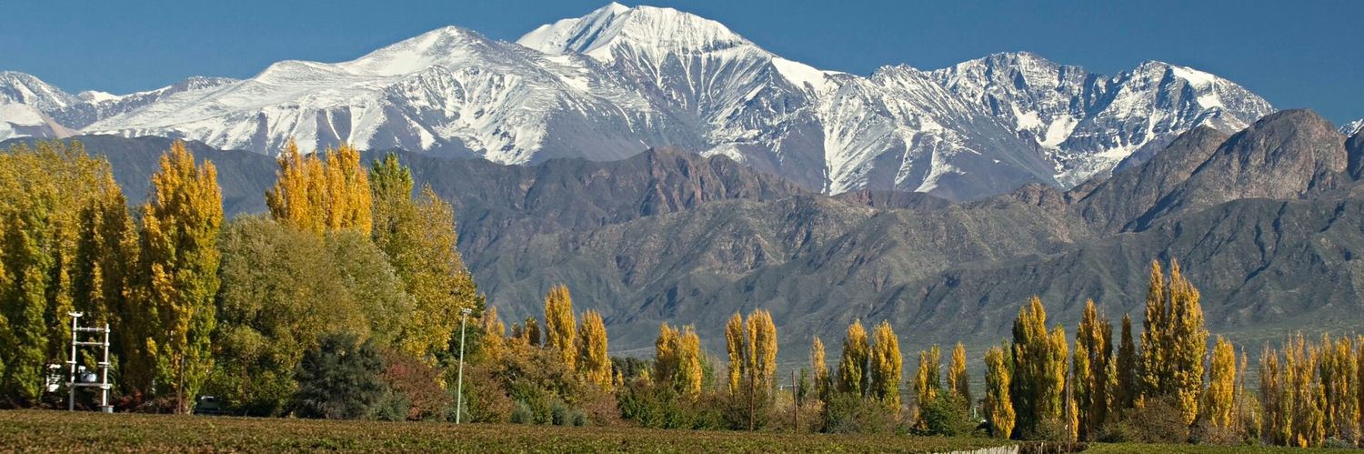 Victoria Muñoz banner