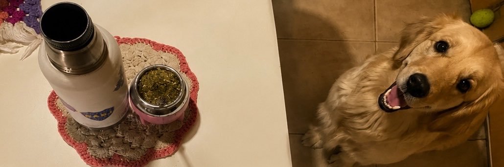 CamiDisparti's profile banner image