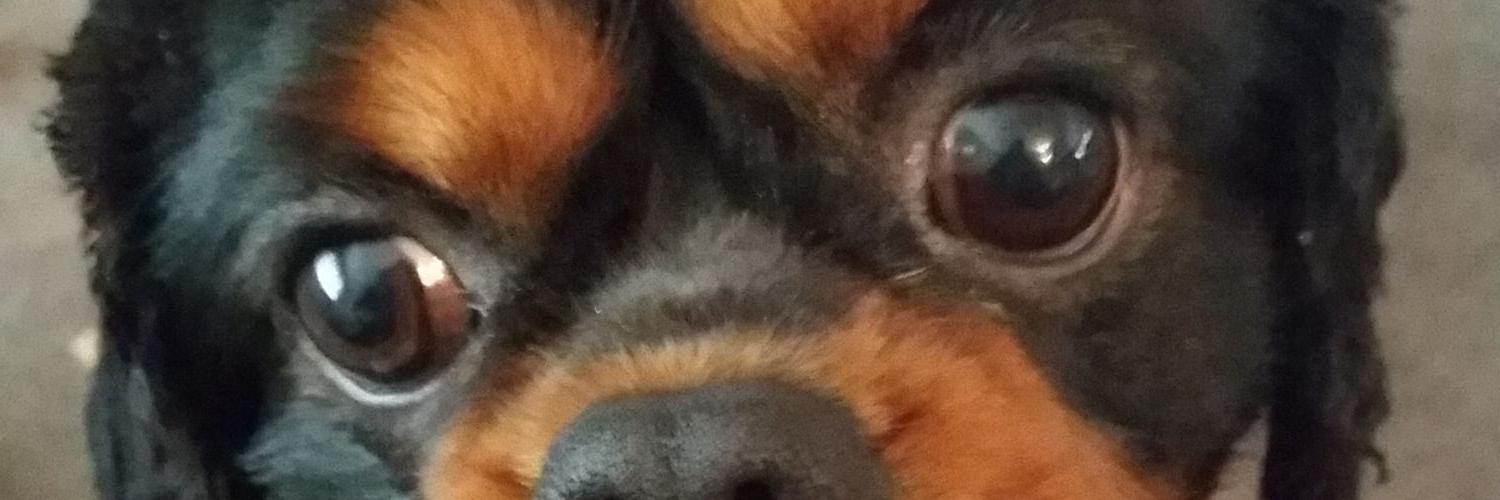 markcrellin's profile banner image