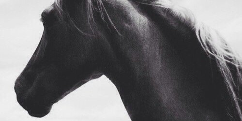 khaziz14's profile banner image