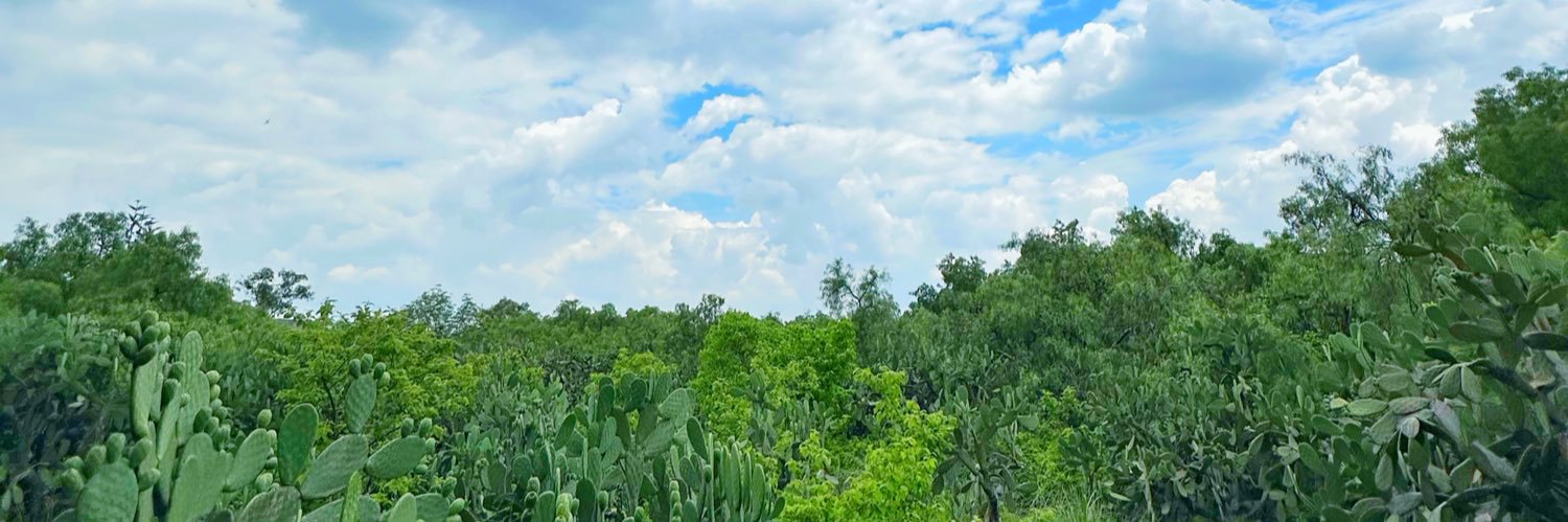 Chepe_dg's profile banner image