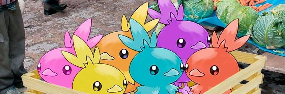 williambarre94's profile banner image