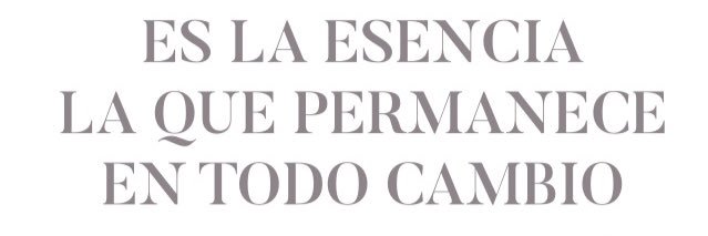 escaparatismo20's profile banner image
