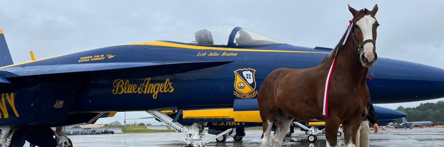 Ray Swiderski banner