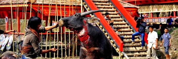 TorajaTours Profile Banner