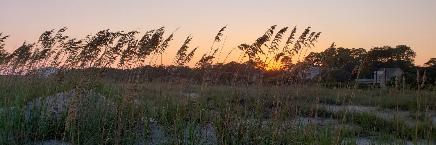 JanetTolbert6's profile banner image