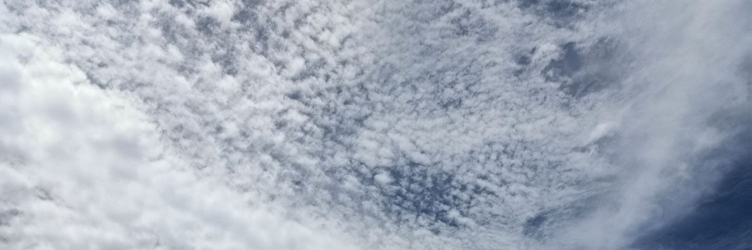 jrexcheng's profile banner image