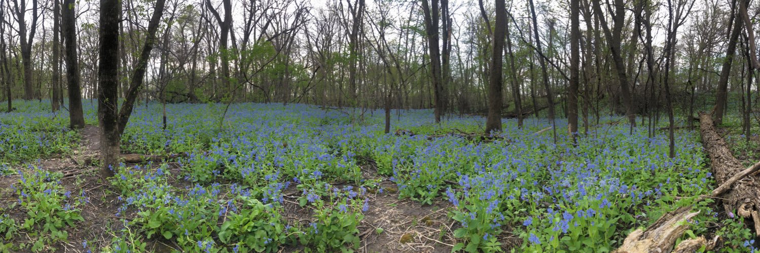 Nav Buttar MD banner