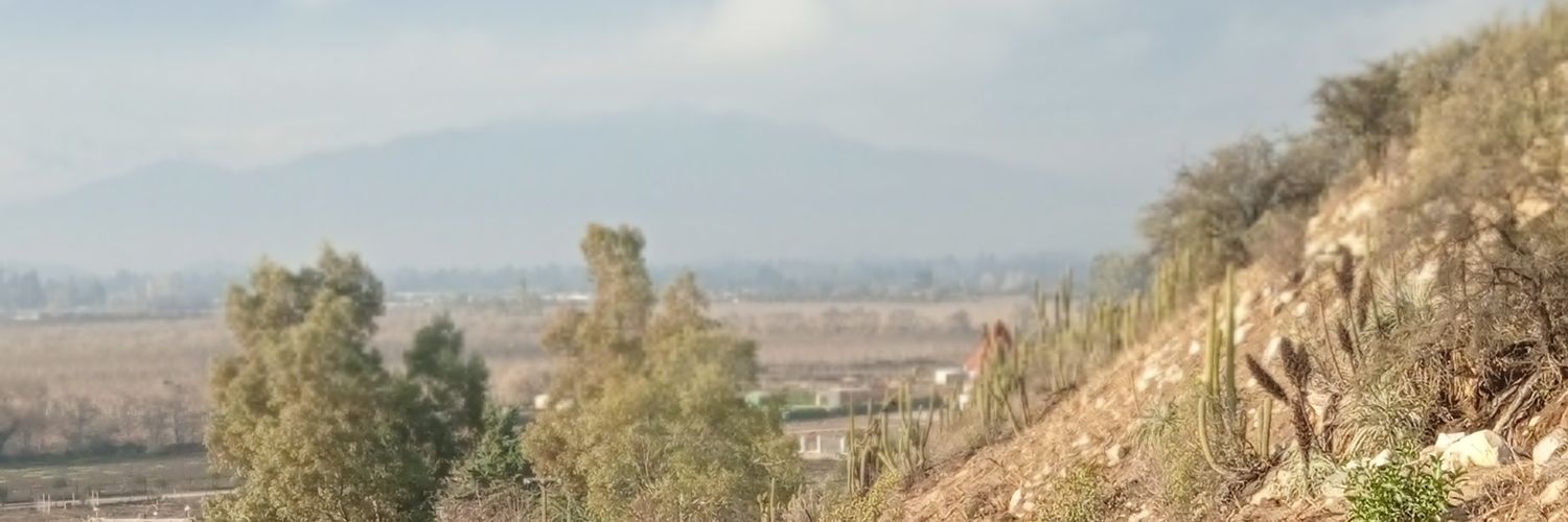 Chascón Barbón ™ banner