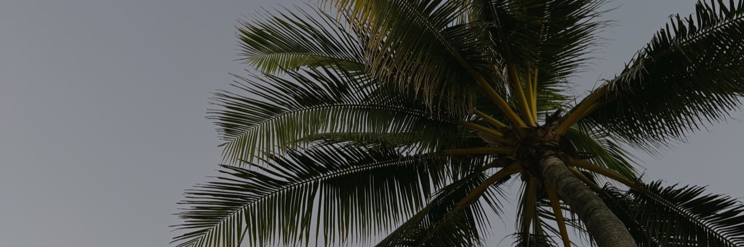 Dancerkamilou's profile banner image