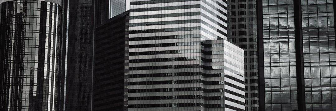 vizzario's profile banner image