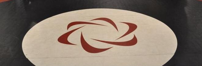 Prodigy Wrestling banner