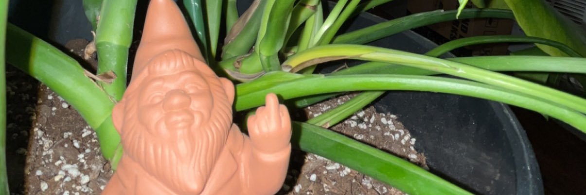 naleyhance's profile banner image