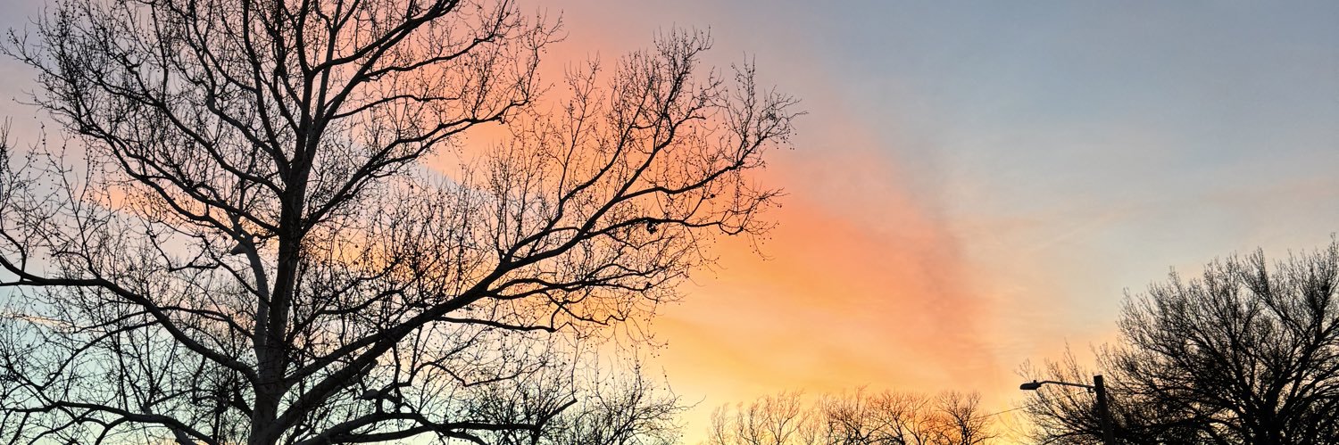 LibbyCollison's profile banner image