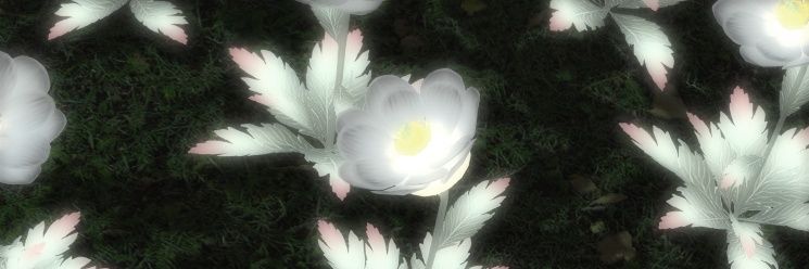 Flandre Nightshade banner