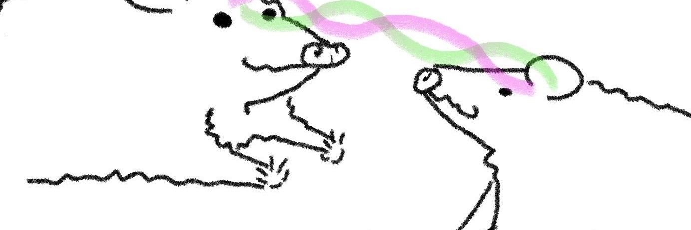 scibie's profile banner image