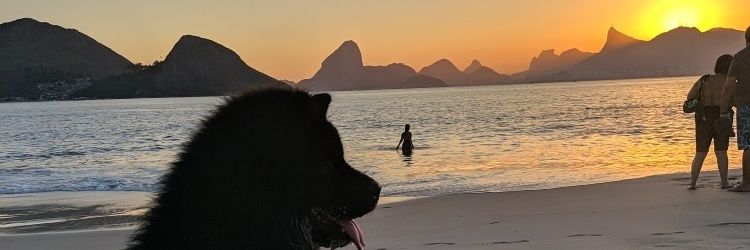 muurillo's profile banner image
