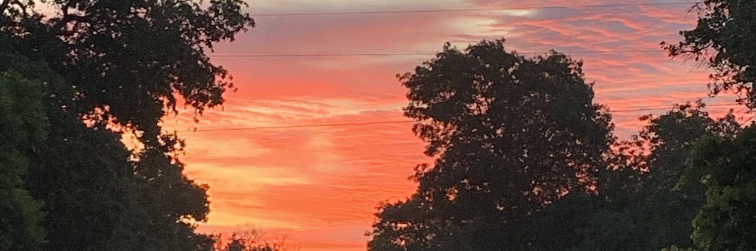 Spider Monkey banner