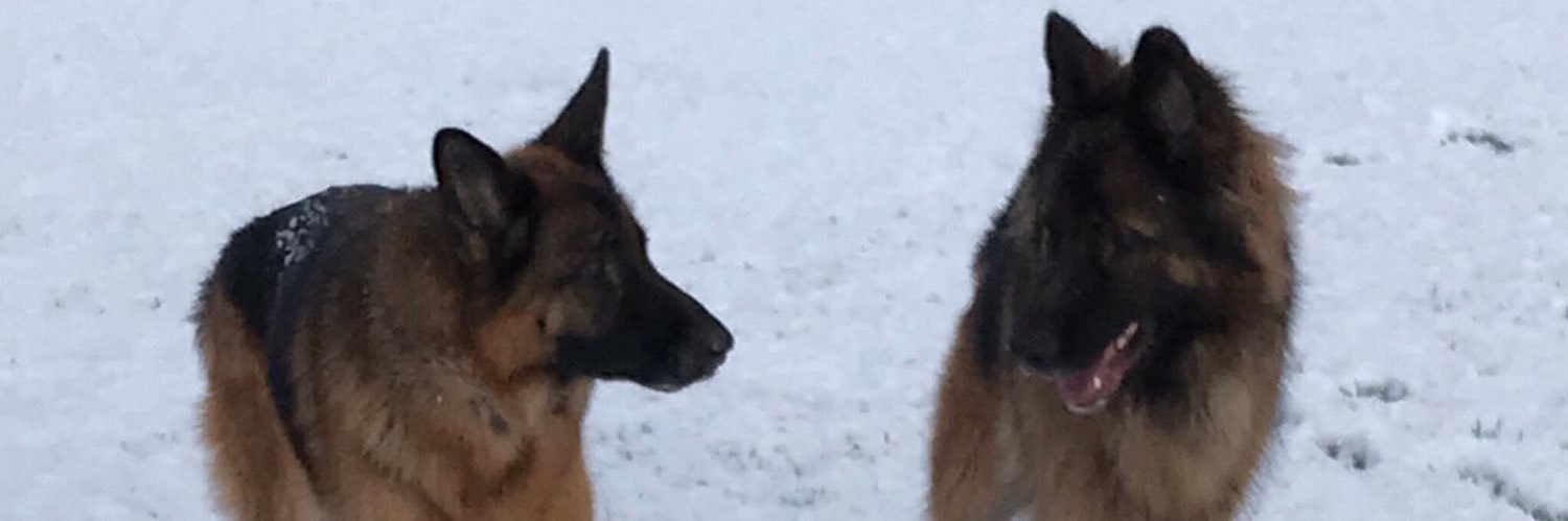 kimwills78's profile banner image