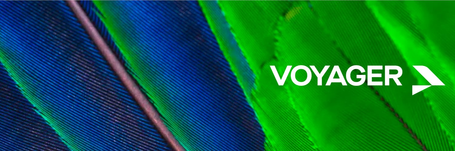 Sierra Peterson banner