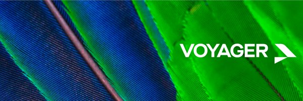 sierrap Profile Banner