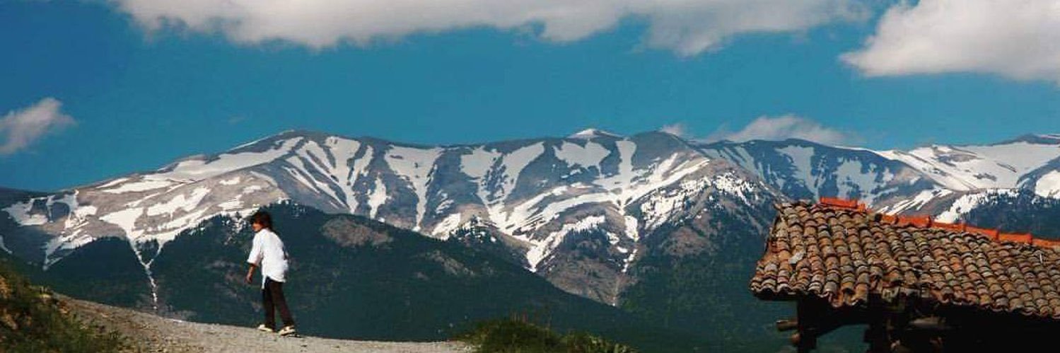 Hayrullah Yaşar banner