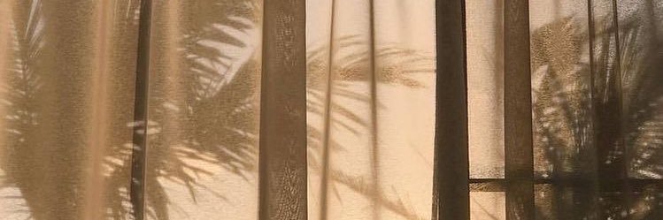 LashaeAlexis_'s profile banner image