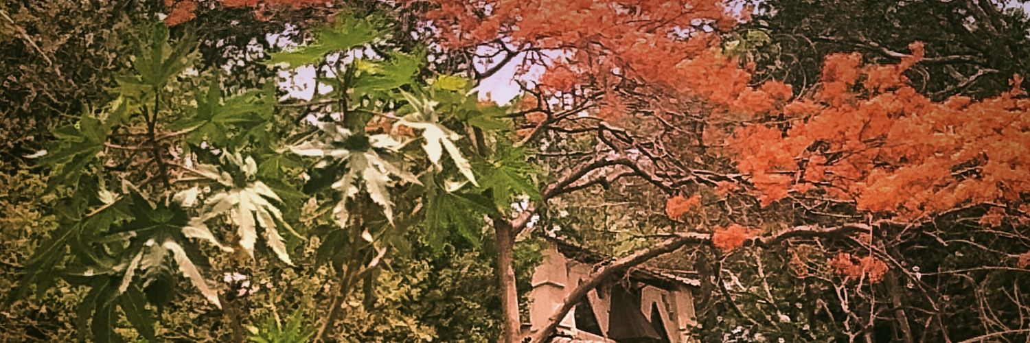 AdvVick's profile banner image