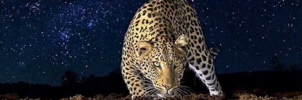 YYAZZAY's profile banner image