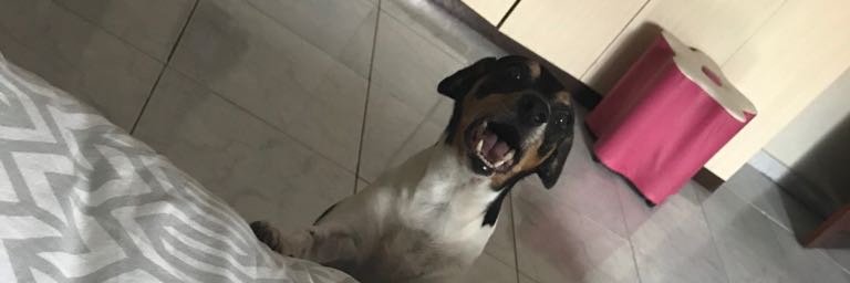 clovisjunior__'s profile banner image