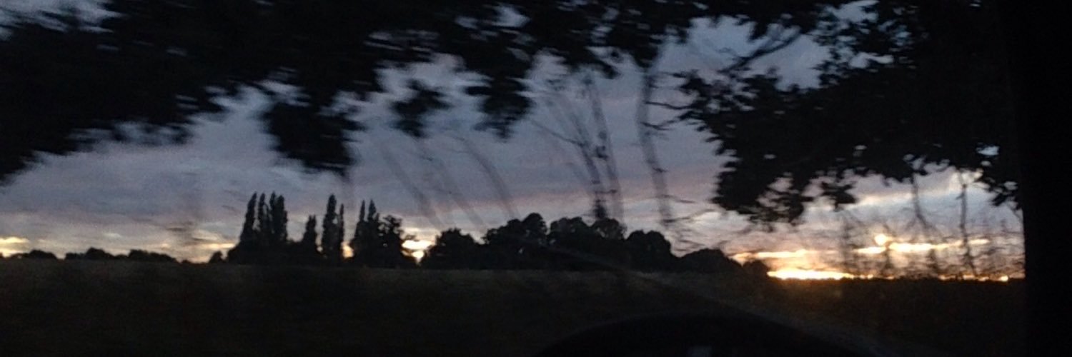 aliceaustinn's profile banner image